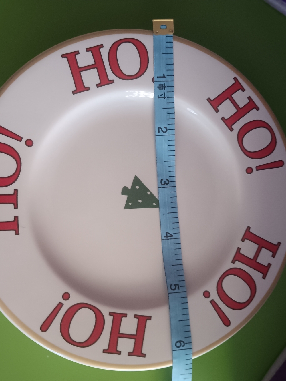 Festive Holiday Dinner Plate - Red & Green